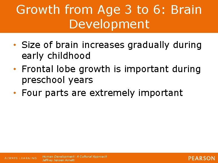 Growth from Age 3 to 6: Brain Development • Size of brain increases gradually
