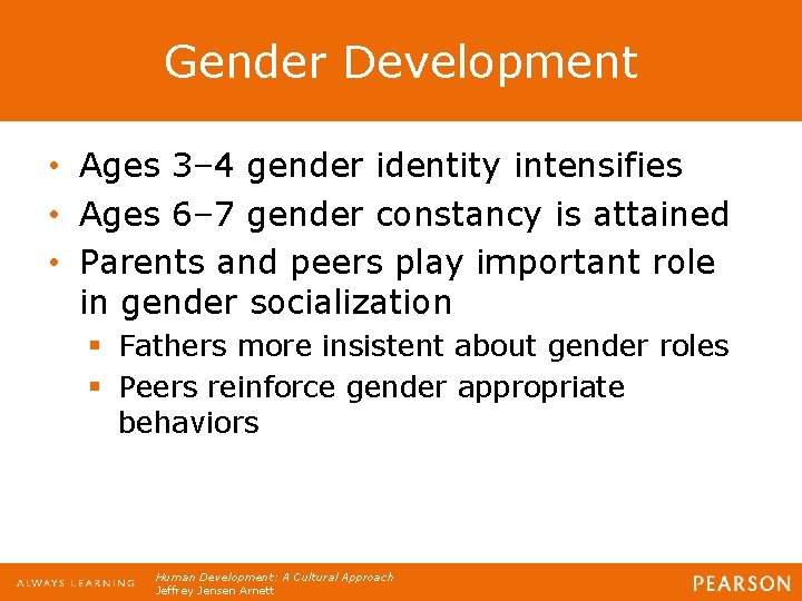 Gender Development • Ages 3– 4 gender identity intensifies • Ages 6– 7 gender