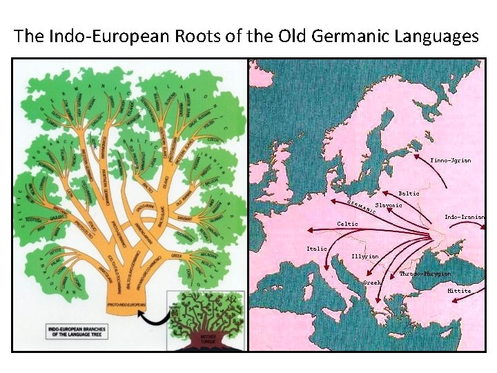 Grammar Vocabulary 13 Grammar from Greek prefix gramgraph