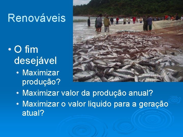 Renováveis • O fim desejável • Maximizar produção? • Maximizar valor da produção anual? Renováveis • O fim desejável • Maximizar produção? • Maximizar valor da produção anual?