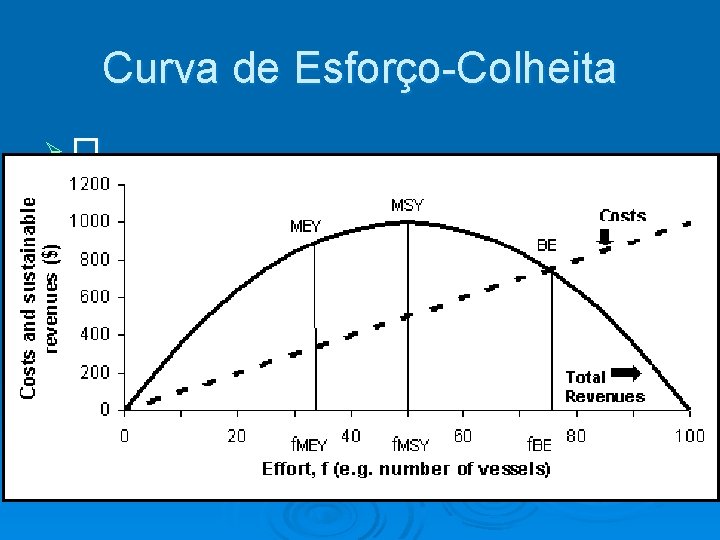 Curva de Esforço-Colheita Ø� 