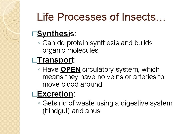 Life Processes of Insects… �Synthesis: ◦ Can do protein synthesis and builds organic molecules