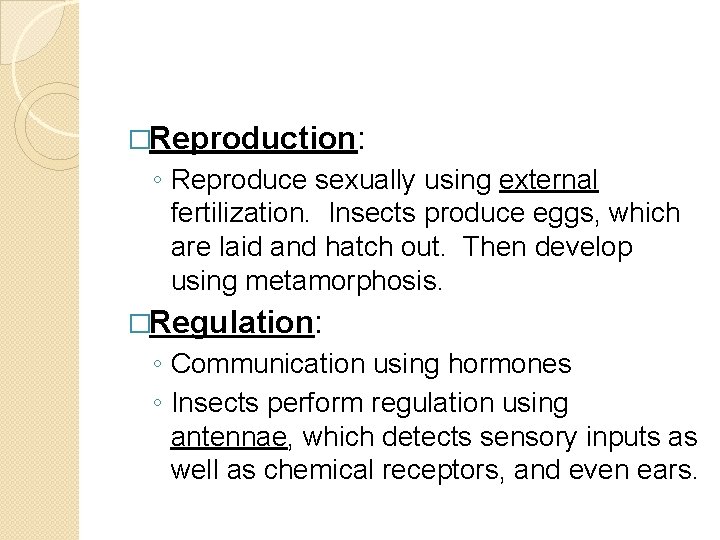 �Reproduction: ◦ Reproduce sexually using external fertilization. Insects produce eggs, which are laid and