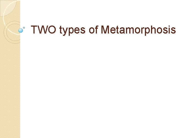 TWO types of Metamorphosis 