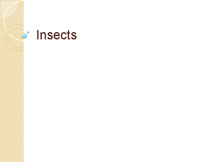 Insects 
