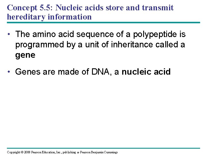 Concept 5. 5: Nucleic acids store and transmit hereditary information • The amino acid