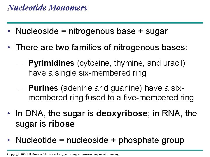 Nucleotide Monomers • Nucleoside = nitrogenous base + sugar • There are two families
