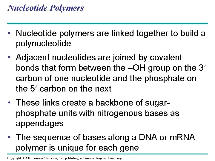 Nucleotide Polymers • Nucleotide polymers are linked together to build a polynucleotide • Adjacent