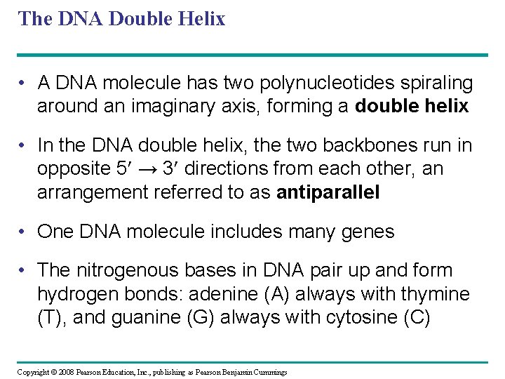 The DNA Double Helix • A DNA molecule has two polynucleotides spiraling around an