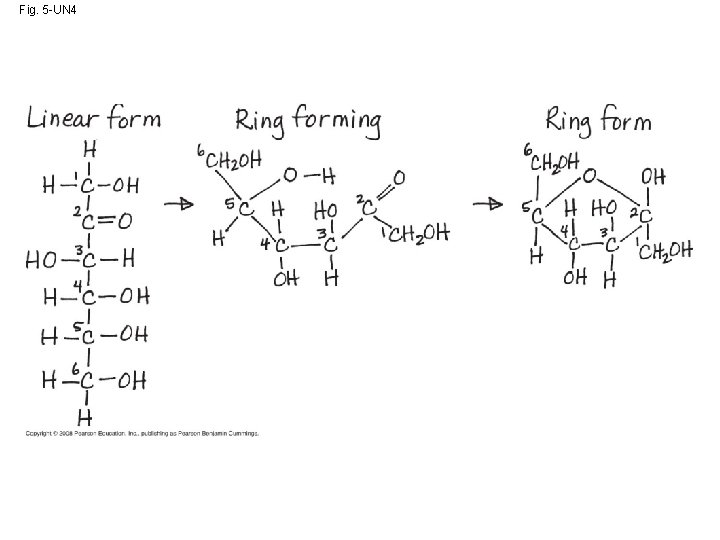 Fig. 5 -UN 4 