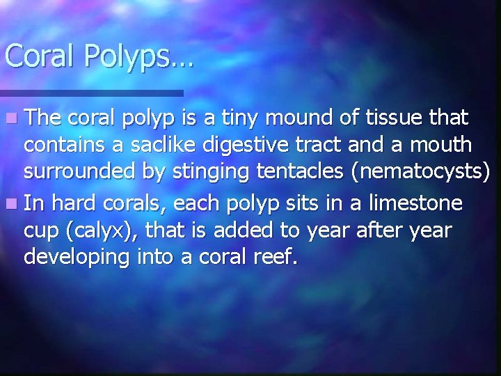 Coral Polyps… n The coral polyp is a tiny mound of tissue that contains
