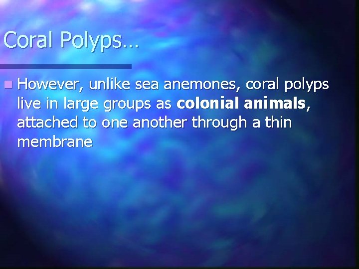 Coral Polyps… n However, unlike sea anemones, coral polyps live in large groups as