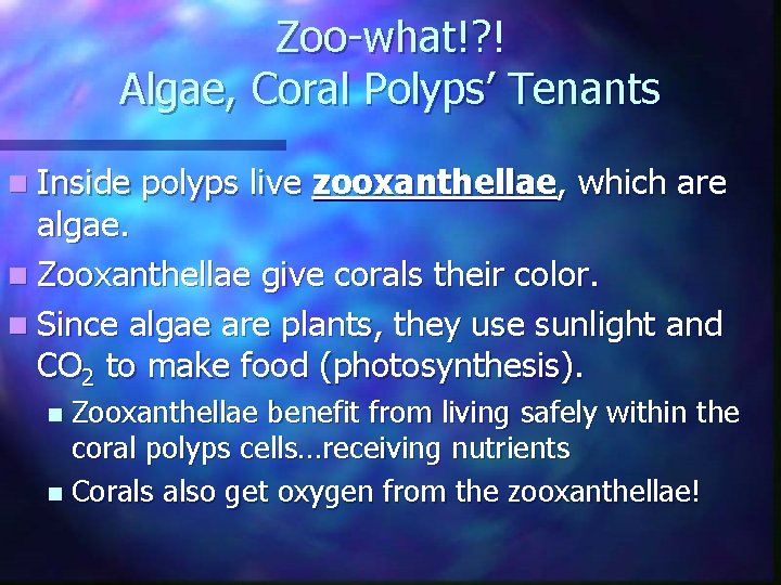 Zoo-what!? ! Algae, Coral Polyps’ Tenants n Inside polyps live zooxanthellae, which are algae.