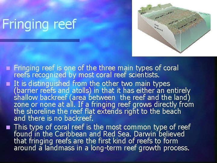Fringing reef is one of the three main types of coral reefs recognized by