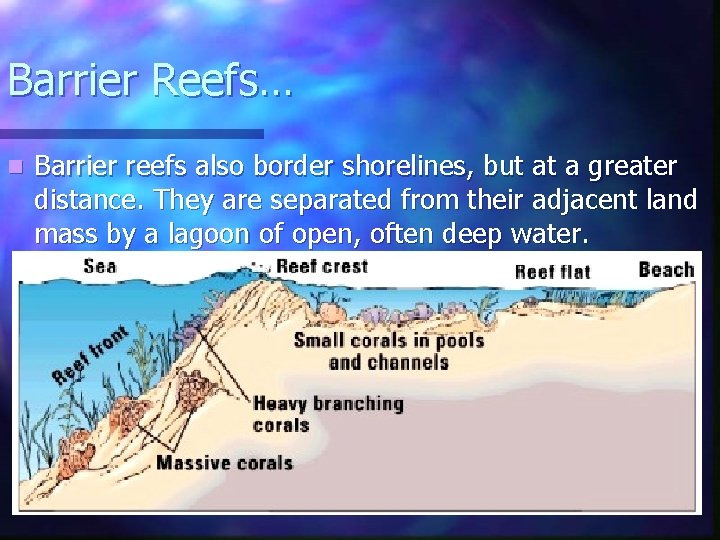 Barrier Reefs… n Barrier reefs also border shorelines, but at a greater distance. They