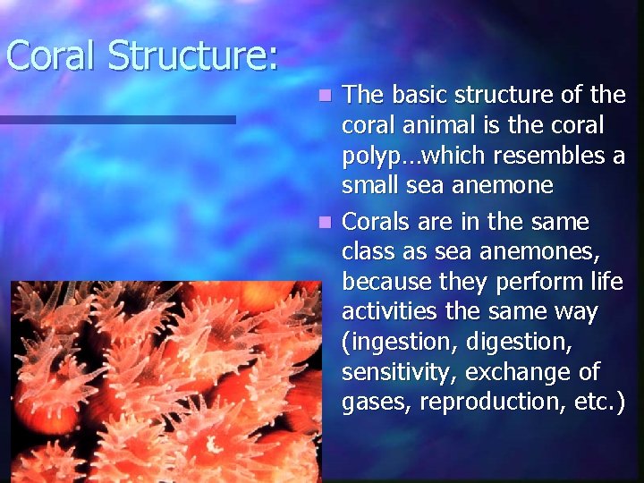 Coral Structure: The basic structure of the coral animal is the coral polyp…which resembles