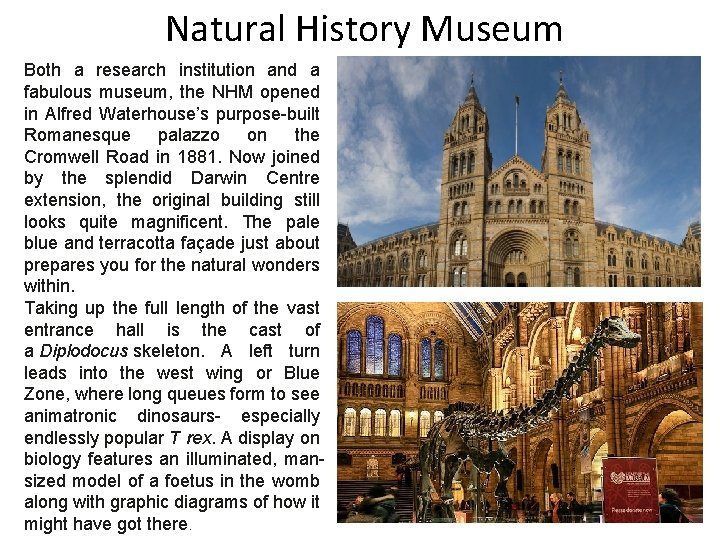 Natural History Museum Both a research institution and a fabulous museum, the NHM opened