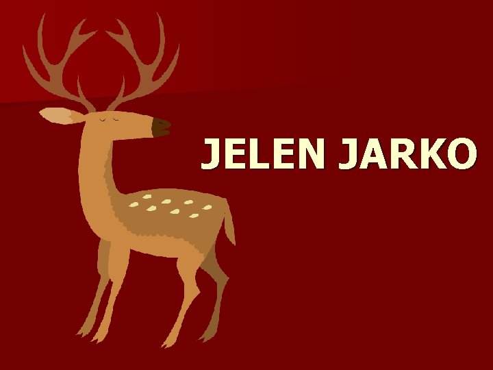 JELEN JARKO 