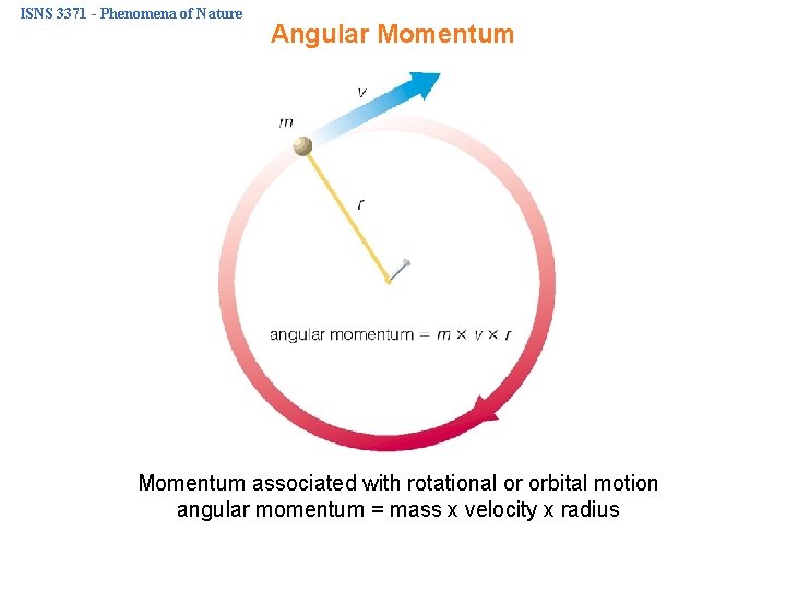 ISNS 3371 - Phenomena of Nature Angular Momentum associated with rotational or orbital motion