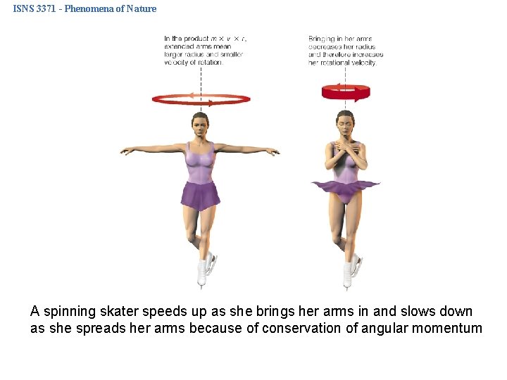 ISNS 3371 - Phenomena of Nature A spinning skater speeds up as she brings