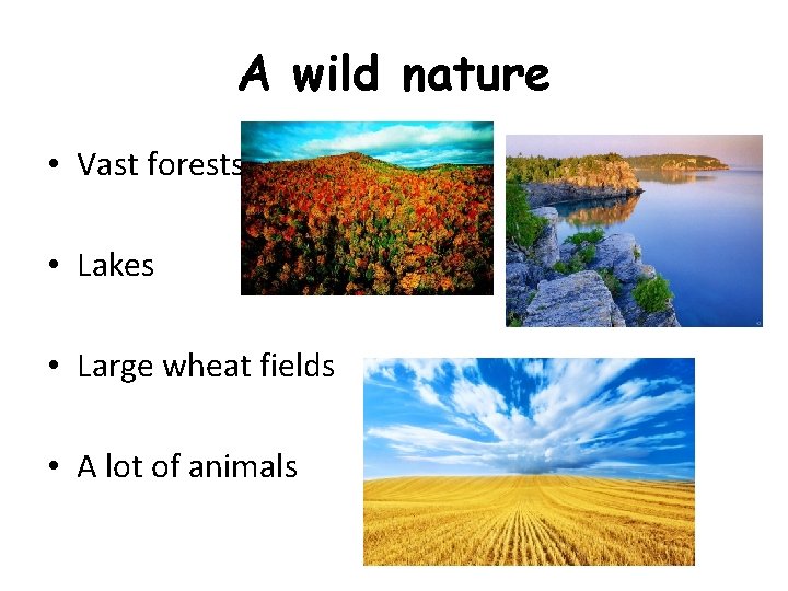 A wild nature • Vast forests • Lakes • Large wheat fields • A