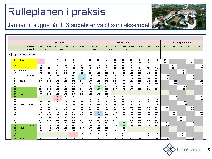 Rulleplanen i praksis Januar til august år 1. 3 andele er valgt som eksempel