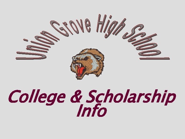 College & Scholarship Info 