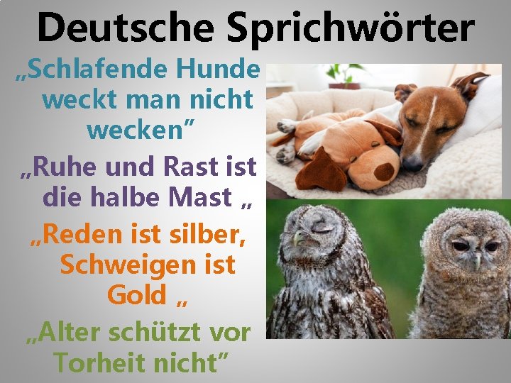 Deutsche Sprichwörter „Schlafende Hunde weckt man nicht wecken” „Ruhe und Rast ist die halbe