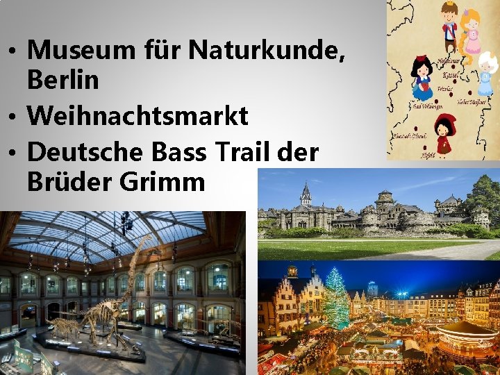  • Museum für Naturkunde, Berlin • Weihnachtsmarkt • Deutsche Bass Trail der Brüder