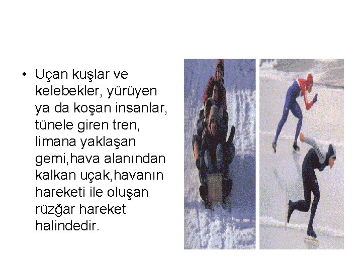  • Uçan kuşlar ve kelebekler, yürüyen ya da koşan insanlar, tünele giren tren,