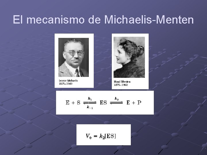 El mecanismo de Michaelis-Menten 