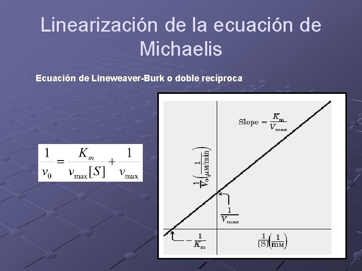 Linearización de la ecuación de Michaelis Ecuación de Lineweaver-Burk o doble recíproca 