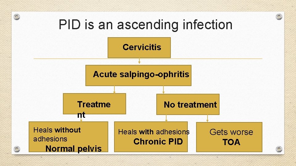 PID is an ascending infection Cervicitis Acute salpingo-ophritis Treatme nt Heals without adhesions Normal