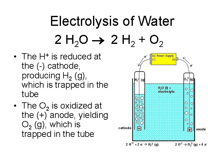 Electrolysis of Water 2 H 2 O 2 H 2 + O 2 •