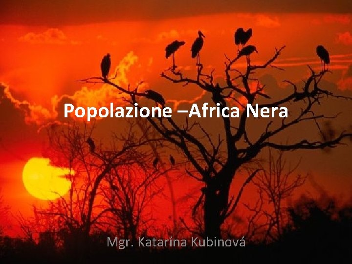 Popolazione –Africa Nera Mgr. Katarína Kubinová 