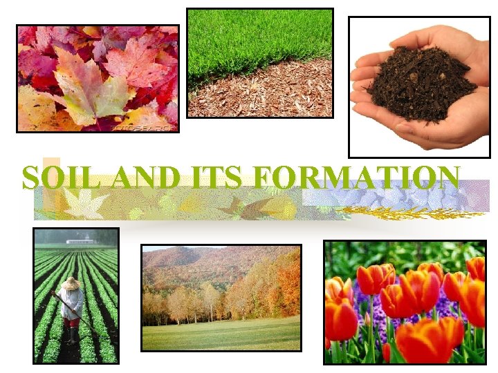 SOIL AND ITS FORMATION 