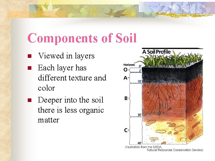 Components of Soil n n n Viewed in layers Each layer has different texture