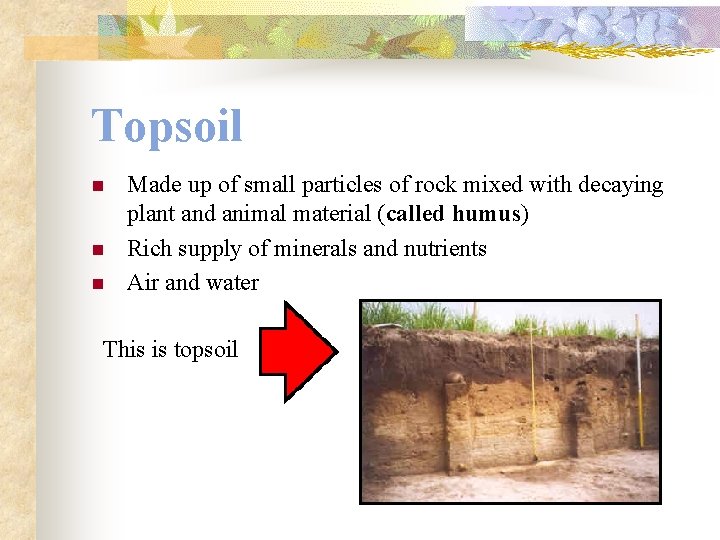 Topsoil n n n Made up of small particles of rock mixed with decaying