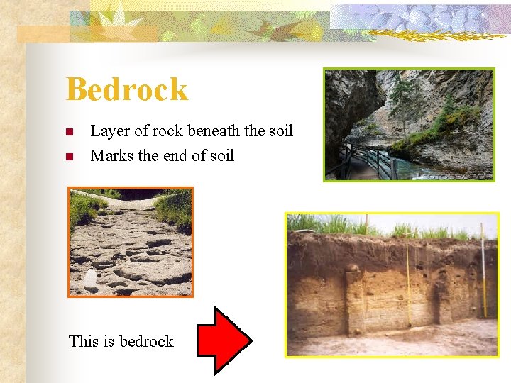 Bedrock n n Layer of rock beneath the soil Marks the end of soil