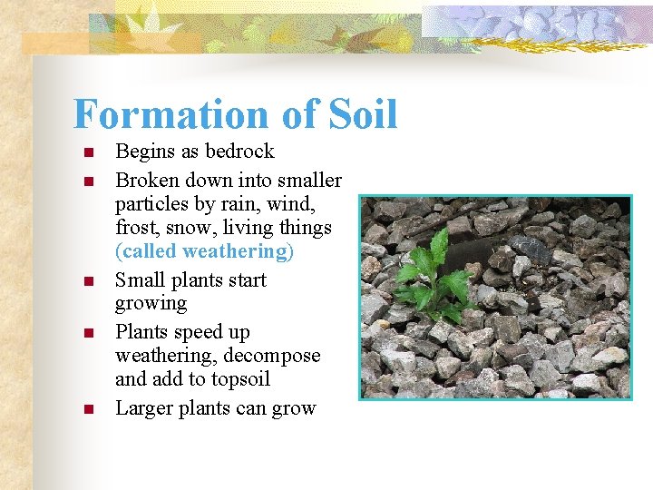 Formation of Soil n n n Begins as bedrock Broken down into smaller particles