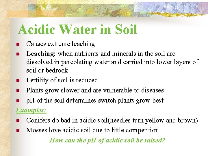 Acidic Water in Soil Causes extreme leaching n Leaching: when nutrients and minerals in