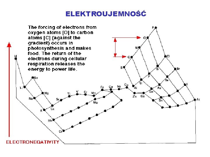 ELEKTROUJEMNOŚĆ 