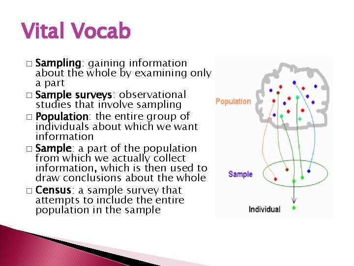 Vital Vocab Sampling: gaining information about the whole by examining only a part �