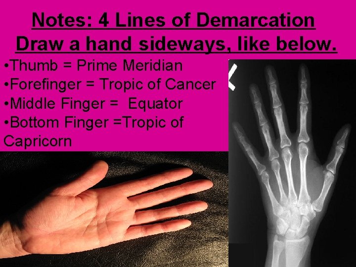 Notes: 4 Lines of Demarcation Draw a hand sideways, like below. • Thumb = Notes: 4 Lines of Demarcation Draw a hand sideways, like below. • Thumb =