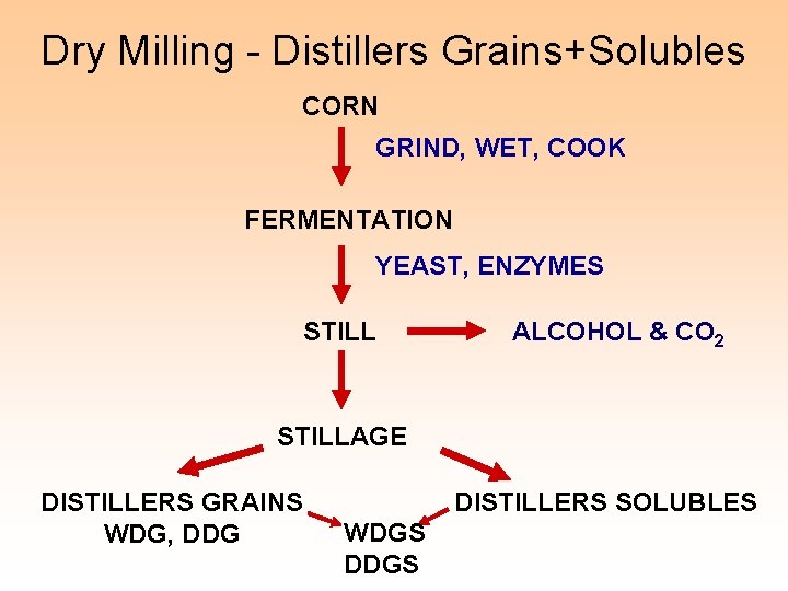 Dry Milling - Distillers Grains+Solubles CORN GRIND, WET, COOK FERMENTATION YEAST, ENZYMES STILL ALCOHOL