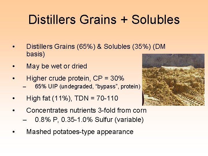 Distillers Grains + Solubles • Distillers Grains (65%) & Solubles (35%) (DM basis) •