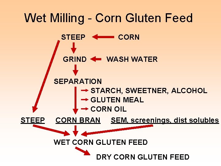 Wet Milling - Corn Gluten Feed STEEP GRIND STEEP CORN WASH WATER SEPARATION STARCH,