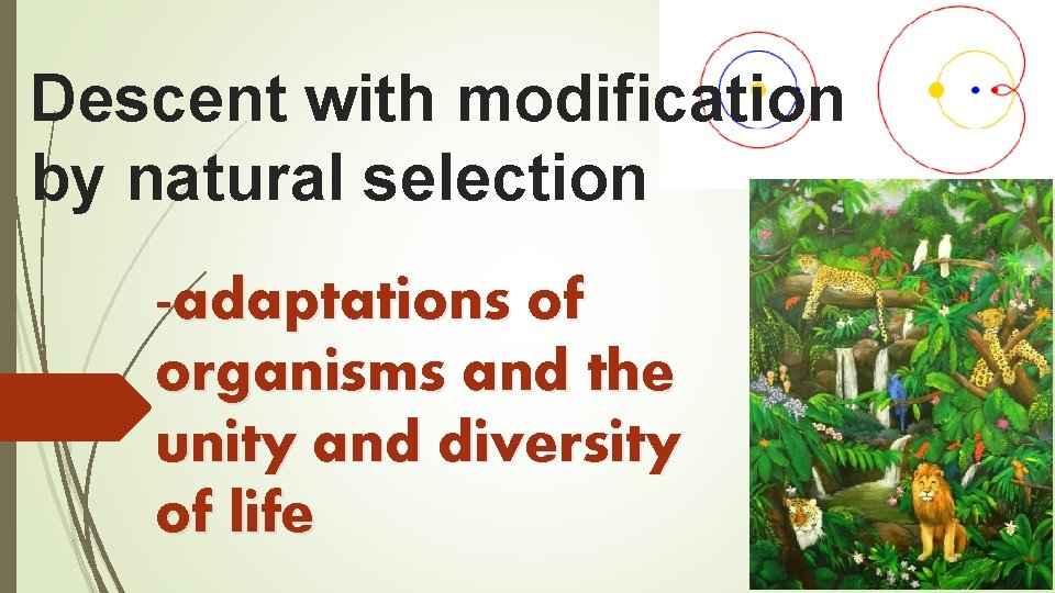 Descent with modification by natural selection -adaptations of organisms and the unity and diversity
