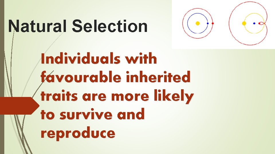 Natural Selection Individuals with favourable inherited traits are more likely to survive and reproduce