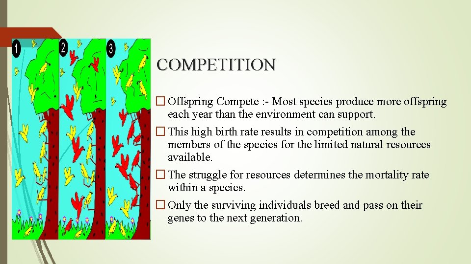 COMPETITION � Offspring Compete : - Most species produce more offspring each year than